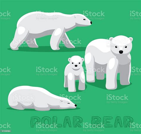 Bear Polar Bear Cartoon Vector Illustration Stock Illustration