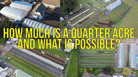 The blue area is one acre. How Much is a Quarter Acre and What is Possible? - YouTube