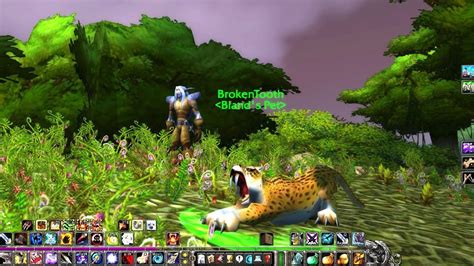 The best hunter pet for hunters in WoW classic, PVP ...