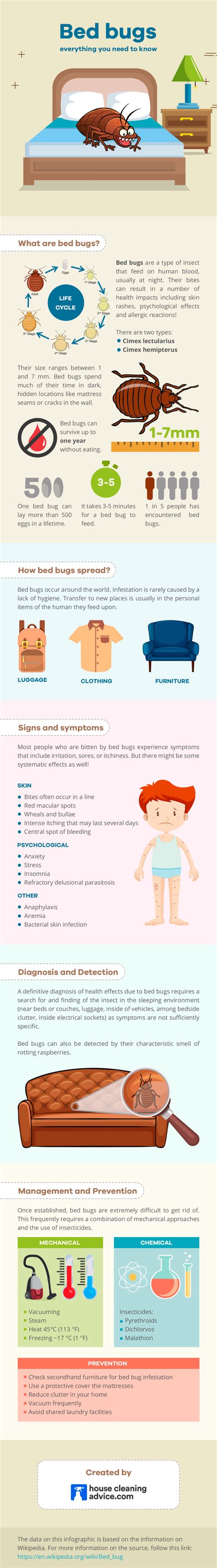 Bed Bugs Everything You Need To Know Infographic House Cleaning