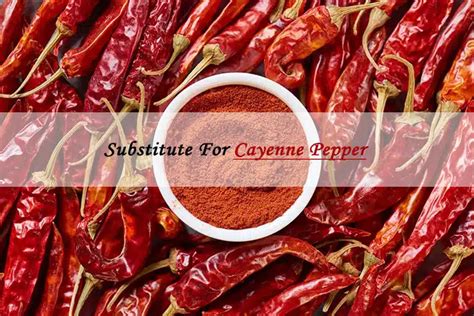Top 12 Ground Fresh Sauce Substitutes For Cayenne Pepper
