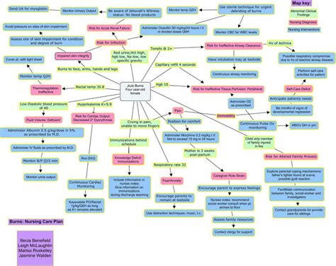 Nursing Care Plan Concept Map Template