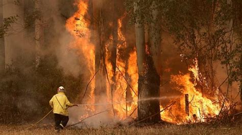 Türkiye'de orman yangınları ürkütücü bir boyuta ulaştı. Orman yangınları kısır döngü yaratıyor haberleri