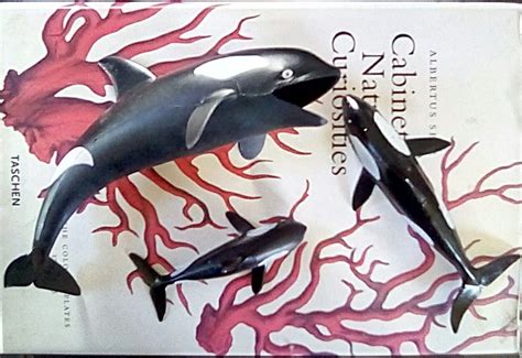 Plastic Orca Whale Figures Three Plastic Orca Whales Plastic Etsy