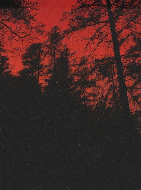 Aesthetic / red aesthetic out there, you will find millions and billions of wallpapers but, what these fascinating wallpapers will do to your mind. Create meme "forest , red aesthetic" - Pictures - Meme ...