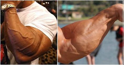 Build Massive Forearms With These Two Forearm Workout Routines If Your
