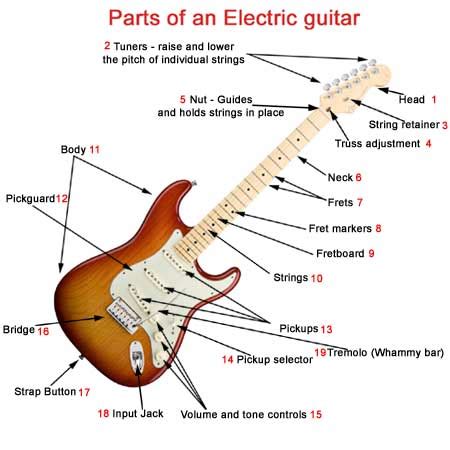 It reshaped the history of music. Fender Stratocaster Parts Diagram - Hanenhuusholli