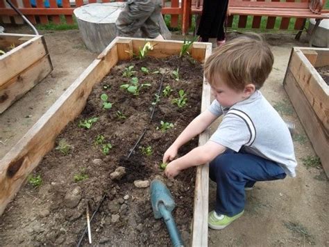 Preschool Garden Edgewater Preschool