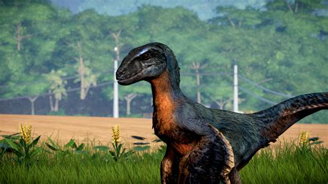 I Dont Know Why But The Feathered Dinosaurs Always Feel So Much More Real To Me Mod By