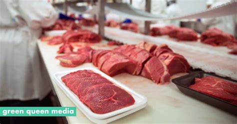 Nearly Drop In Red Meat Production Recorded In The Us Green Queen