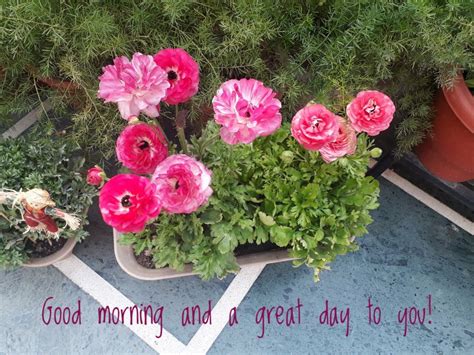 Pin by Kalpana Parmar on Morning Messages | Floral wreath, Brighten ...