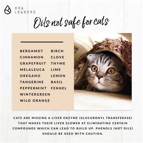 For example, eucalyptus is toxic to cats if ingested, and it stands to reason that the oil of the same plant is as well. doTERRA Oils