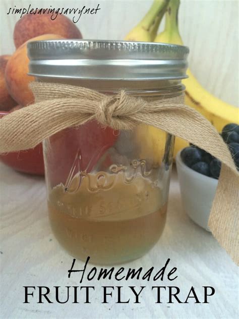 Homemade Fruit Fly Trap Stewardship At Home