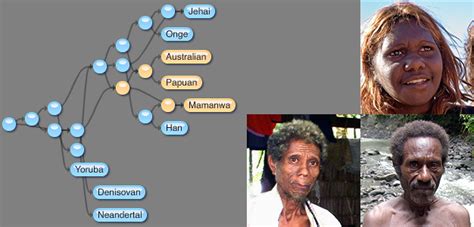 We did not find results for: New revelations in tracing indigenous DNA - The ...