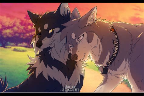 Two Wolfs Standing Next To Each Other In Front Of An Orange And Pink Sky