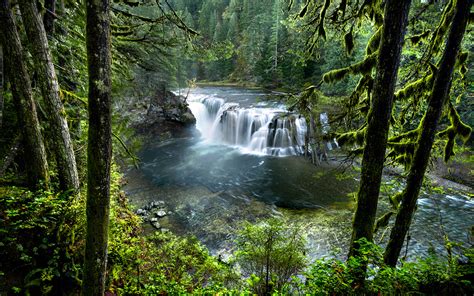 Cascading Waterfalls Lower On Lewis River National Forest Ford