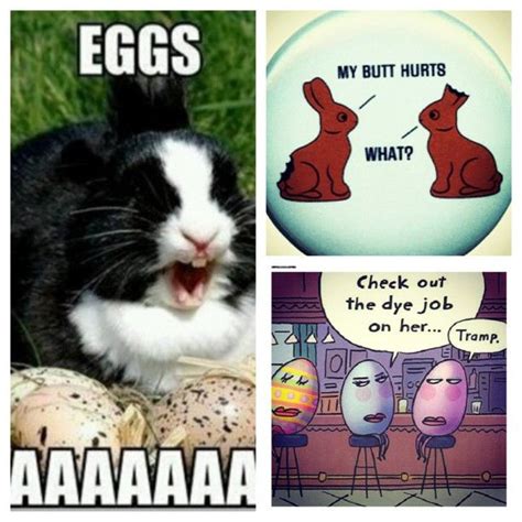 Funny Easter Collage Pictures Photos And Images For