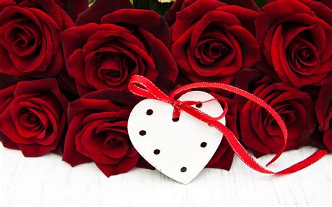 Download Wallpapers Red Roses Rose Bouquet White Heart Romance
