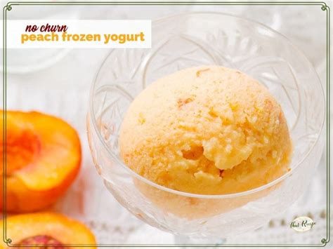 No Churn Fresh Peach Frozen Yogurt A Healthy Treat