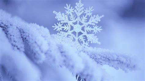 Sign up for free today! Snowflake Wallpapers - Wallpaper Cave