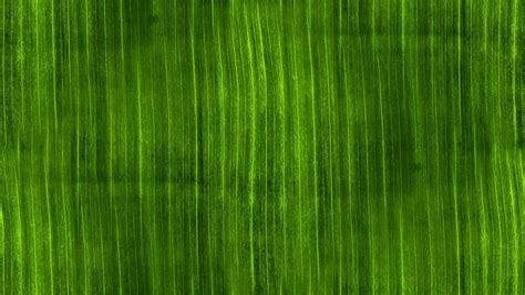 Green Seamless Background Free Stock Photo Public Domain Pictures