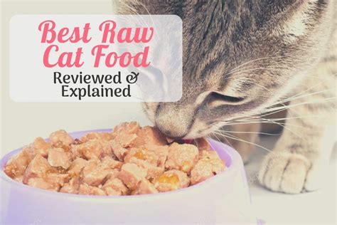 The best senior cat food. The 5 Best Raw Cat Food Choices: Brand Reviews