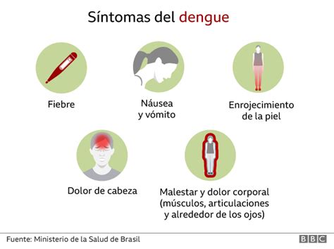 Las Diferencias Entre Síntomas Del Covid 19 El Dengue La Gripe Y Un
