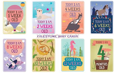 Milestone™ Baby Cards