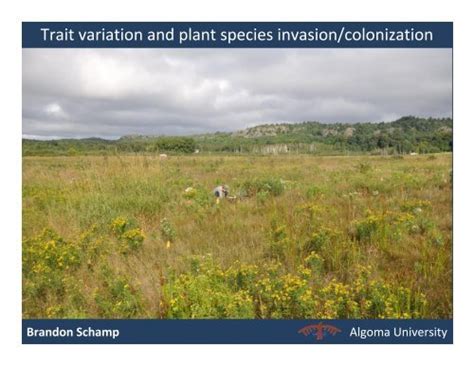 Trait Variation And Plant Species Invasioncolonization