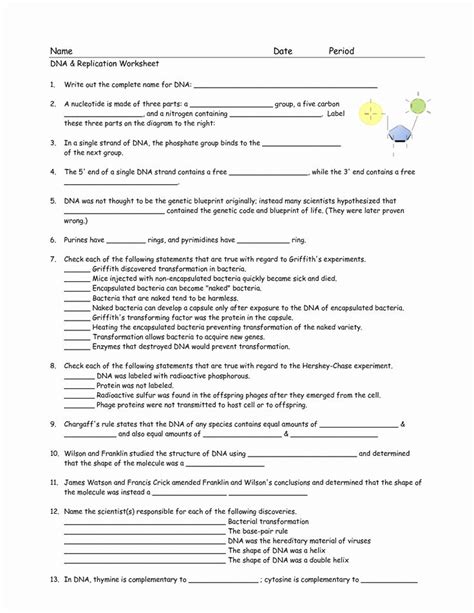 Organisms are made up of proteins that are, in turn, made up of amino acids. Dna Replication Worksheet Key Lovely 17 Best Of Dna ...