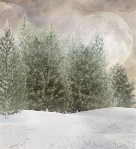 Enchanted Winter Forest Stock Illustration Illustration Of Snow 33031719