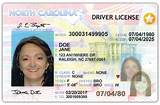 Photos of Lost My Drivers License Nevada