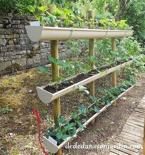 Comment faire pousser des fraises en hauteur ? | Dédé dans son jardin