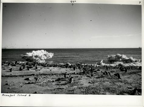 NZ Geological Survey And Antarctic Expedition 1958 59 Wood Bay