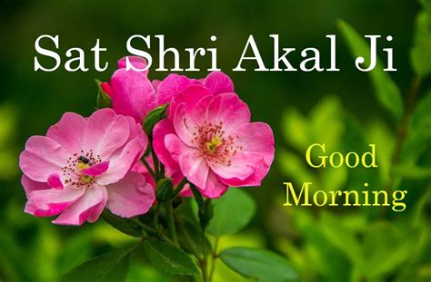 Top 10 Sat Shri Akal Ji Good Morning Images Greeting Pictures Photos