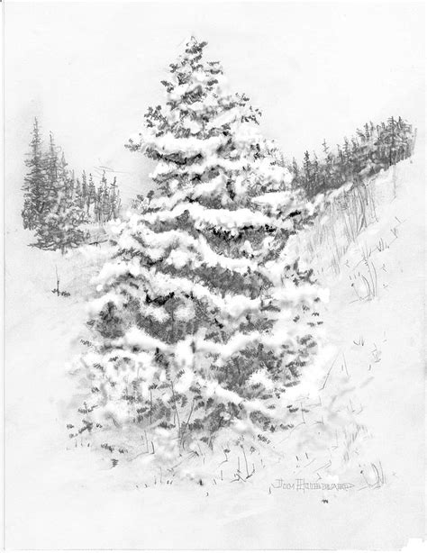 Https://tommynaija.com/draw/how To Draw A Blue Spruce