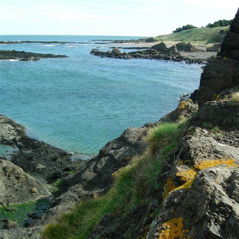 Seacliff Beach North Berwick Seacliff Beach Yorumları Tripadvisor