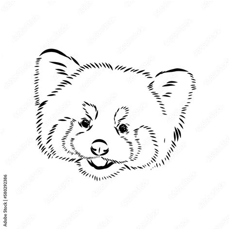 Cute Red Panda Cartoon Animal Design Vector Illustration Isolated On