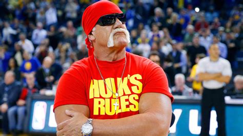 Finding hulk hogan pro wrestling documentary. Netflix plant Mehrteiler - Hulk Hogans Sex-Tape geht in ...