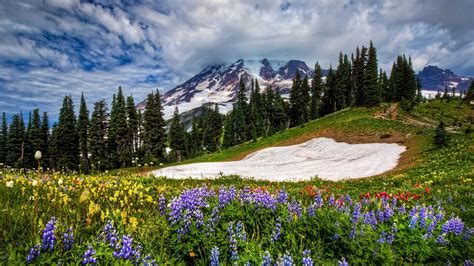 Wallpaper Mountains Flowers Sky Spring Grass 1920x1200 Hd Picture