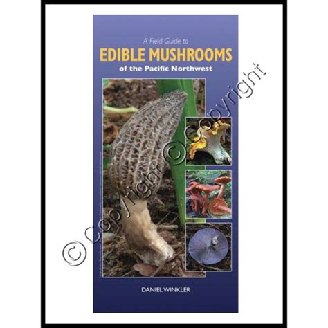 A Field Guide To Edible Mushrooms Of The Pacific Northwest Gourmet