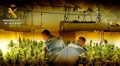 Two Dutch Among 40 Arrested In Spanish Cannabis Trafficking Bust Nl Times