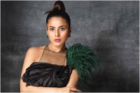 Shehnaaz Gill Shares Stunning Photos From New Shoot With Dabboo Ratnani Wears Black LBD With