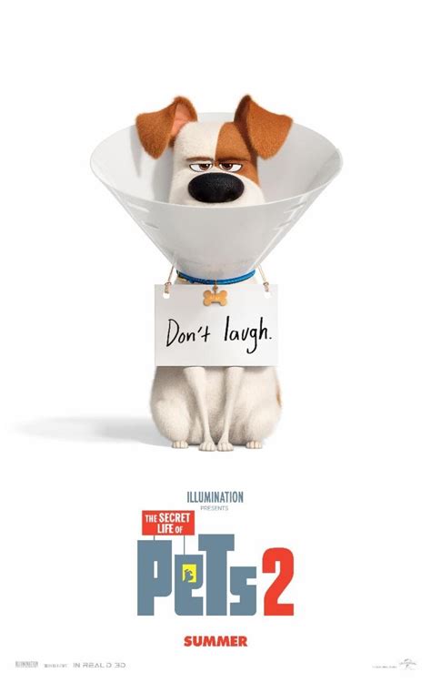 Watch First Trailer Arrives For Illuminations ‘secret Life Of Pets 2