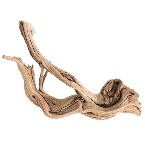 Driftwood Png 20 Free Cliparts Download Images On Clipground 2024