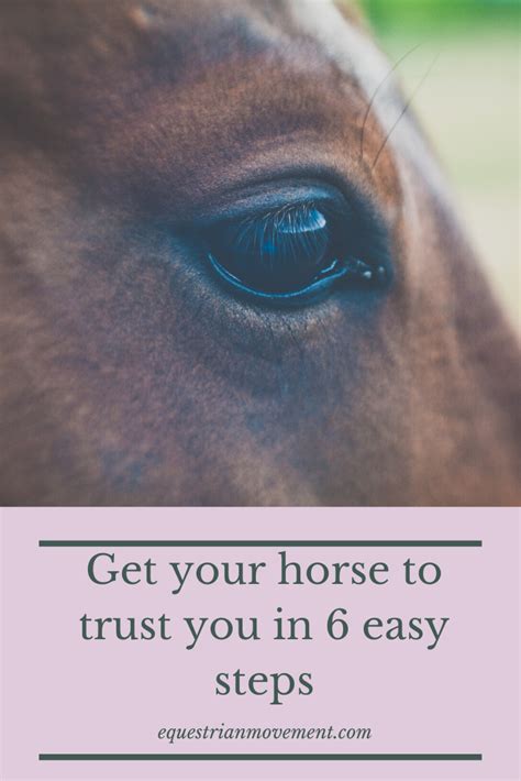 Equestrian Movement Get Your Horse To Trust You In 6 Easy Steps