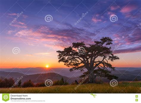 Beautiful Mountain Landscape With Lone Tree At Dawn Stock