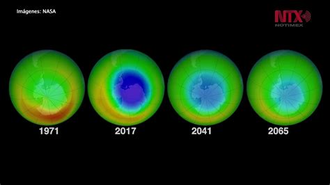 Consecuencias De La Destruccion De La Capa De Ozono Wikipedia Coinarimapa