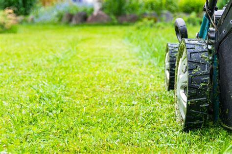 Lawn Care 101 For Beginners North Texas Lawn Care Tips