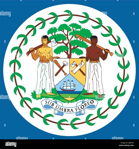 National Arms Of Belize Stock Vector Image Art Alamy